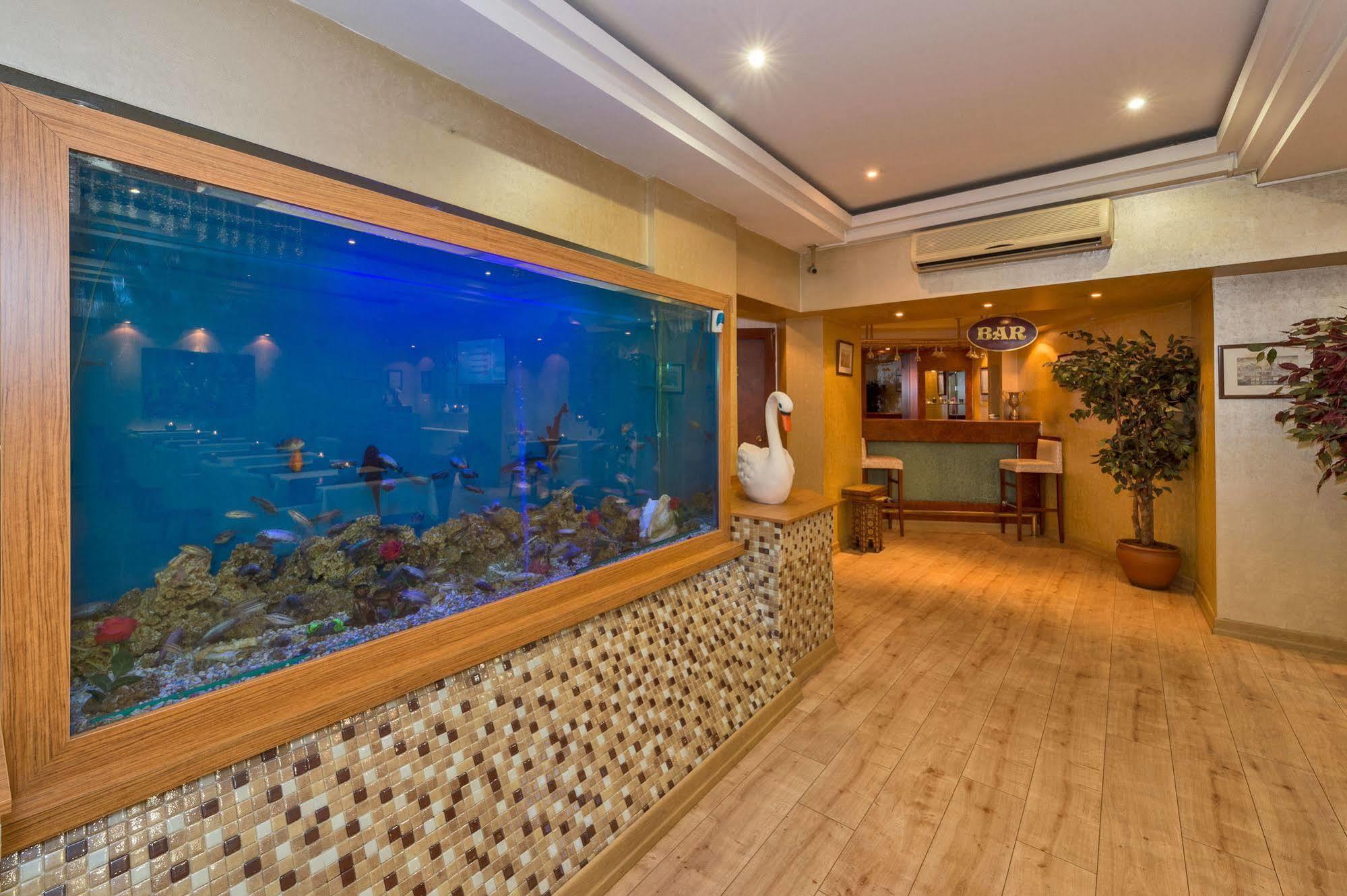 Beyaz Kugu Hotel Стамбул Экстерьер фото